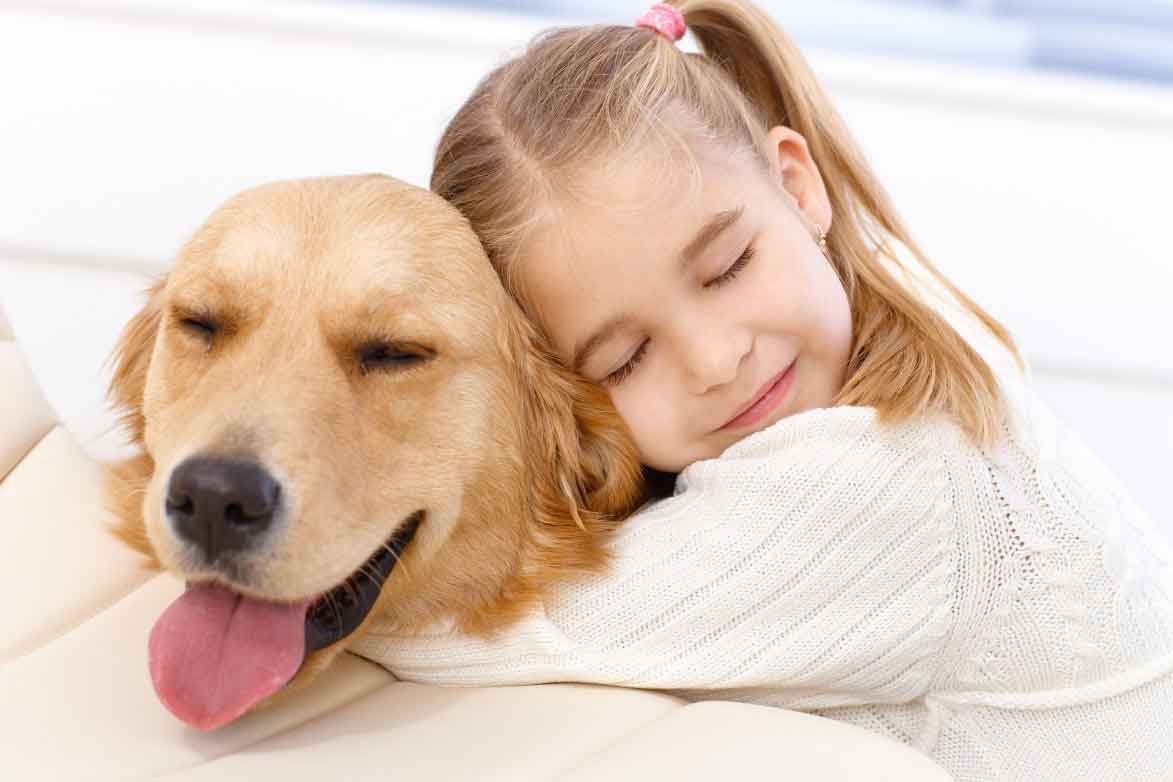 Pet therapy cani: caratteristiche, corso, prezzo, cani adatti, cos’è缩略图