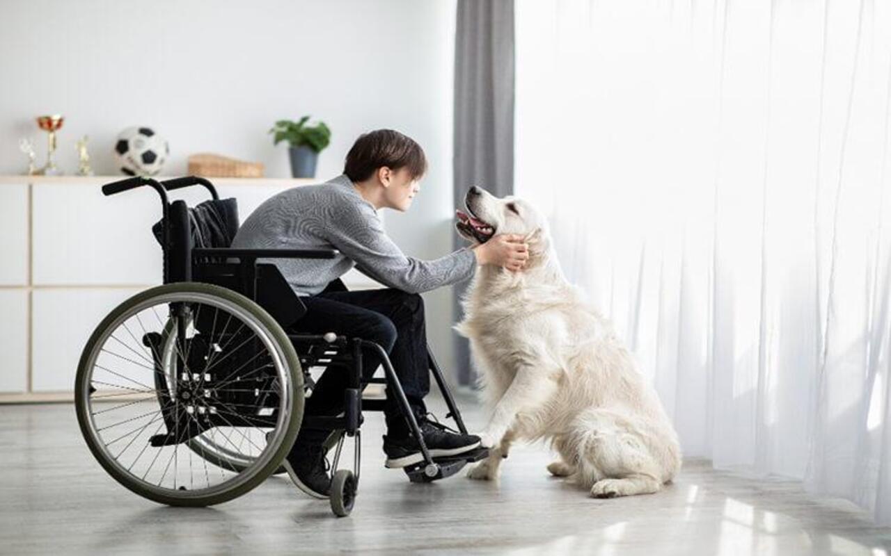 Photo of Pet Therapy: cos’è, quando farla, benefici